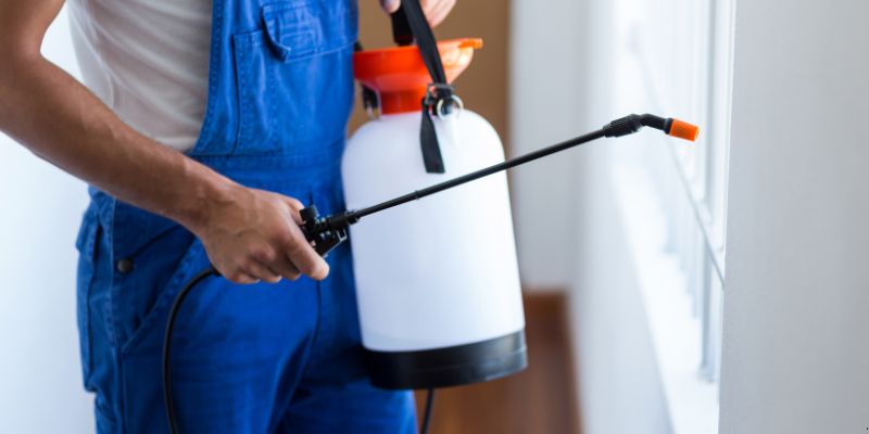 Como Fazer Dedetização em Casa em Campina Grande: 4 Dicas Simples Como fazer dedetização em casa em Campina Grande