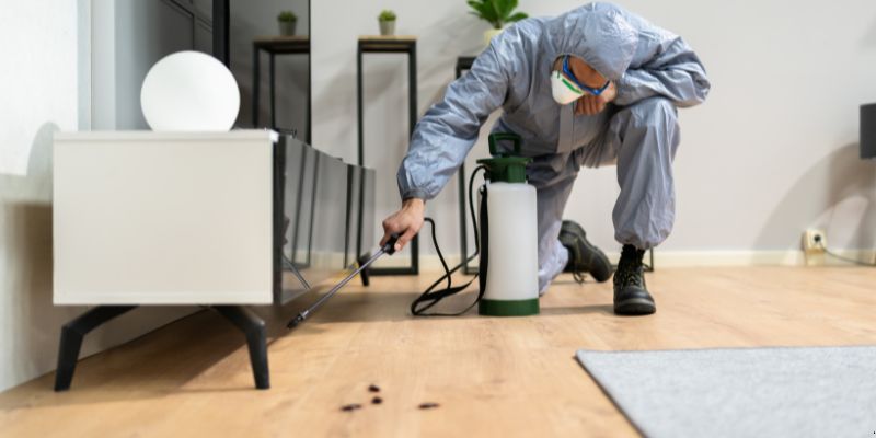 Quanto Tempo Dura Uma Dedetização em Campina Grande? Confira! Quanto tempo dura uma dedetização em Campina Grande?